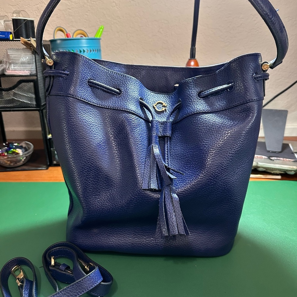 C Wonder Blue Pebbled Leather Drawstring Bucket Bag with Gold Logo - Picture 2 of 7